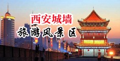 大美女爱操大逼中国陕西-西安城墙旅游风景区